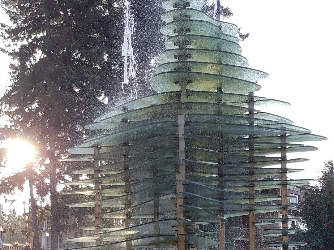 Fontana di Gambarie景点图片