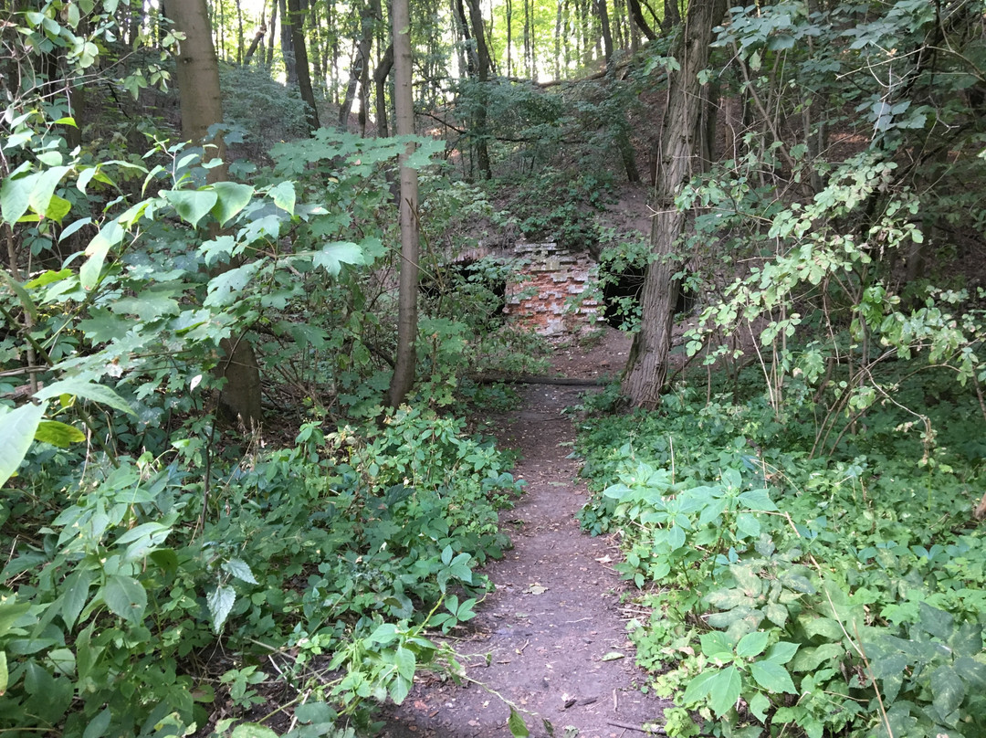 Nature Reserve Szaniawski Gorge-Serock必去景点
