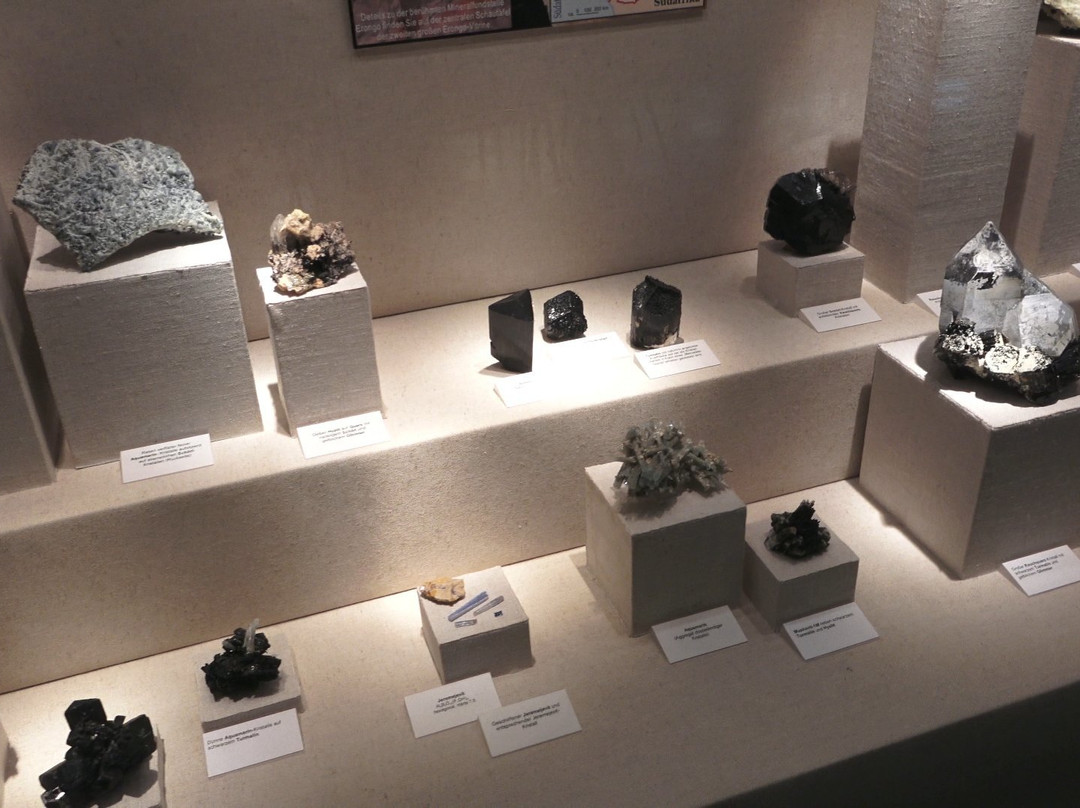 Mineralogisches Museum景点图片