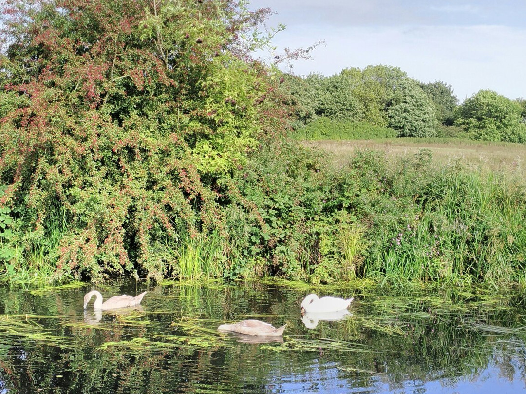 Erewash Valley Trail-Beeston必去景点