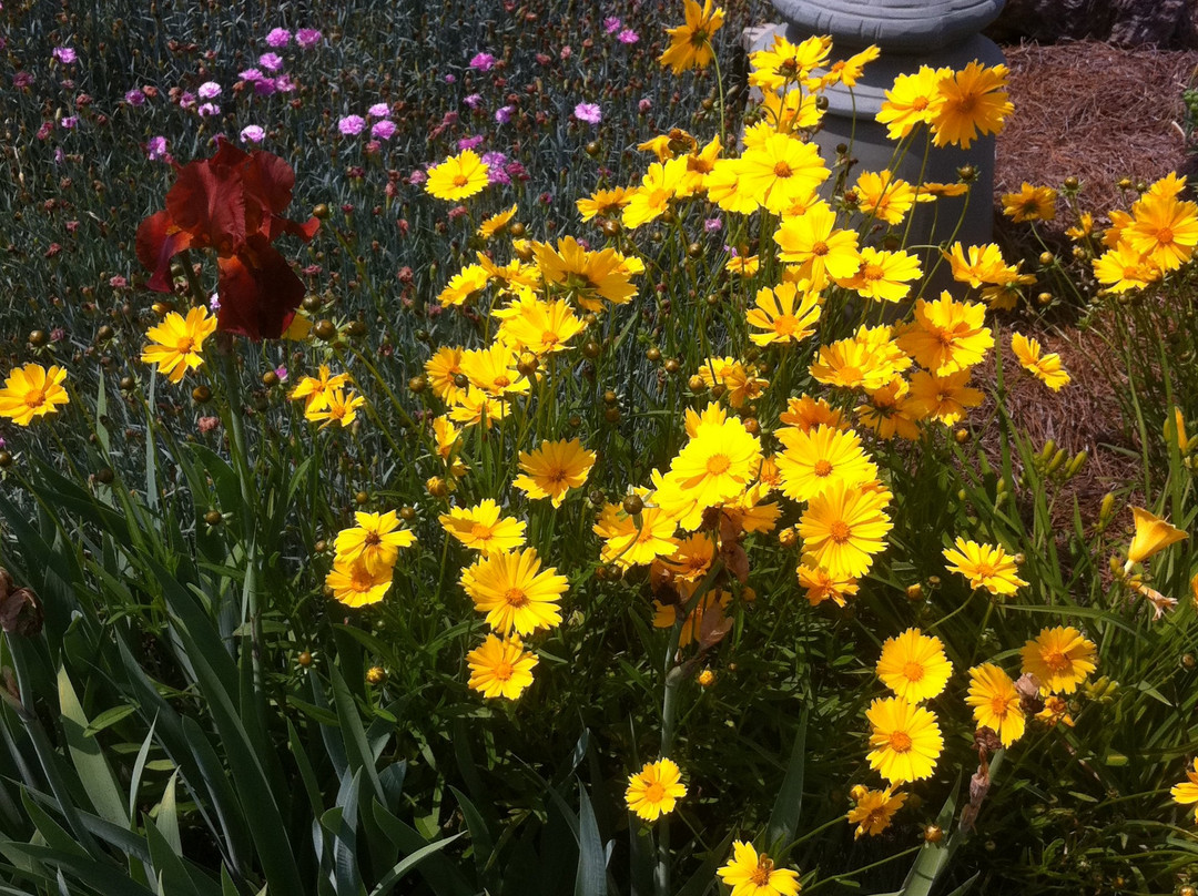 Joanie M Mcdavid Home-金斯波特必去景点