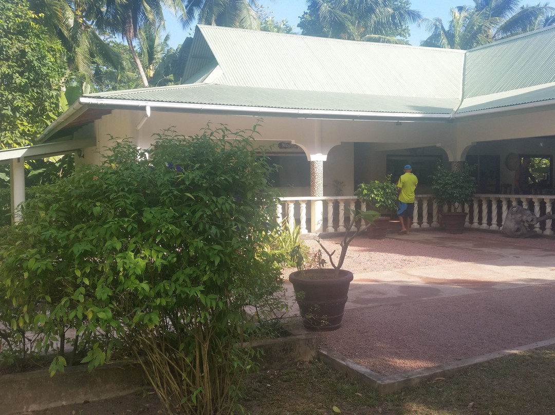 Chalets Bamboo Vert主图