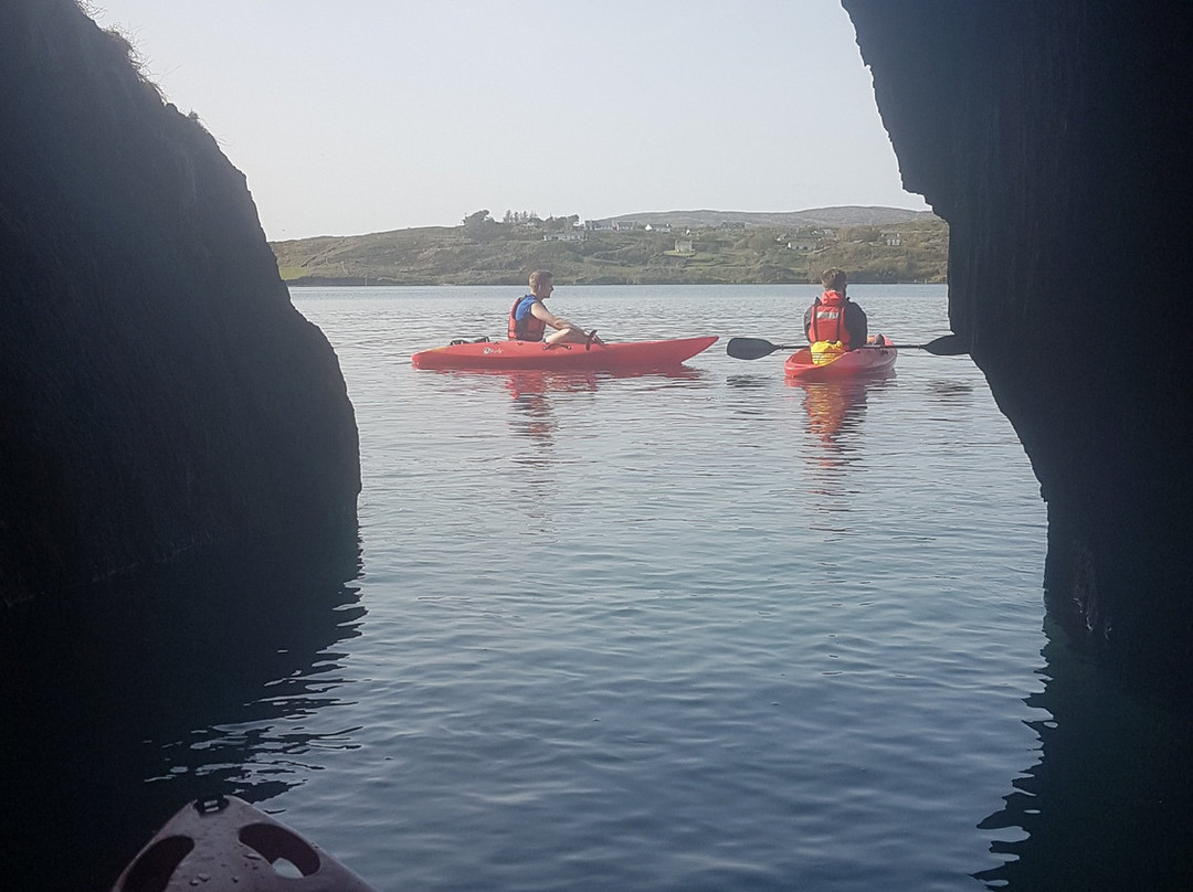 Schull Sea Safari景点图片