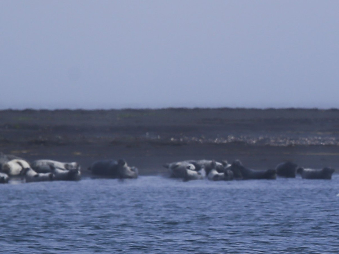 Anastadastapi-Vatnsnes必去景点