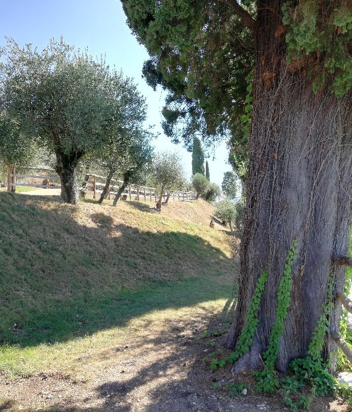 Parco San Vigilio景点图片