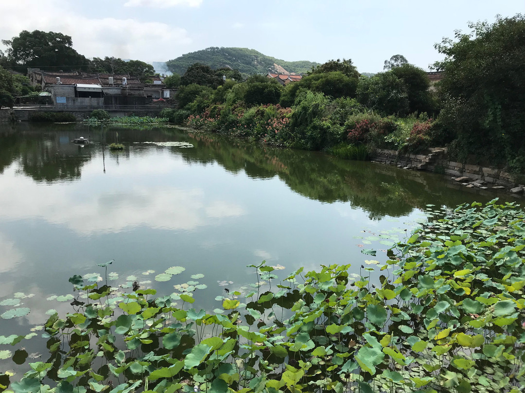 赵家堡与诒安堡-漳浦县必去景点