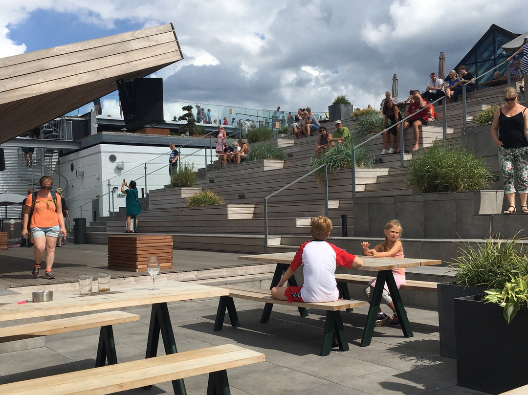 Salling Department Store-欧胡斯必去景点