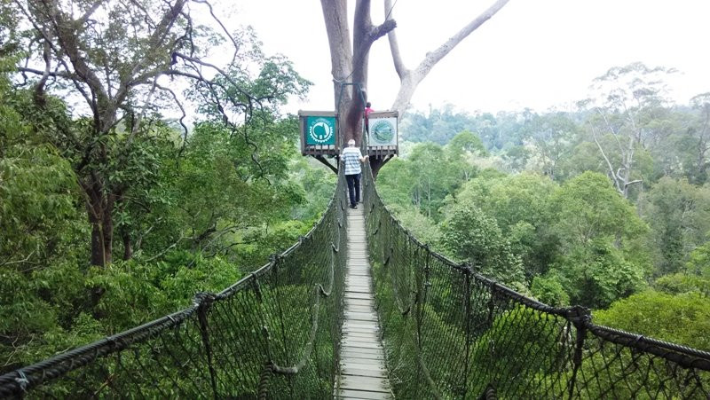 Bangkirai Hill Nature Tourism景点图片