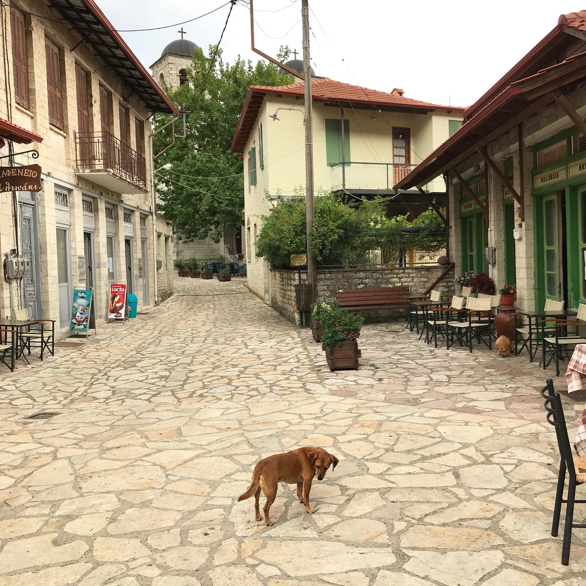 Alonaki Guesthouse-官方