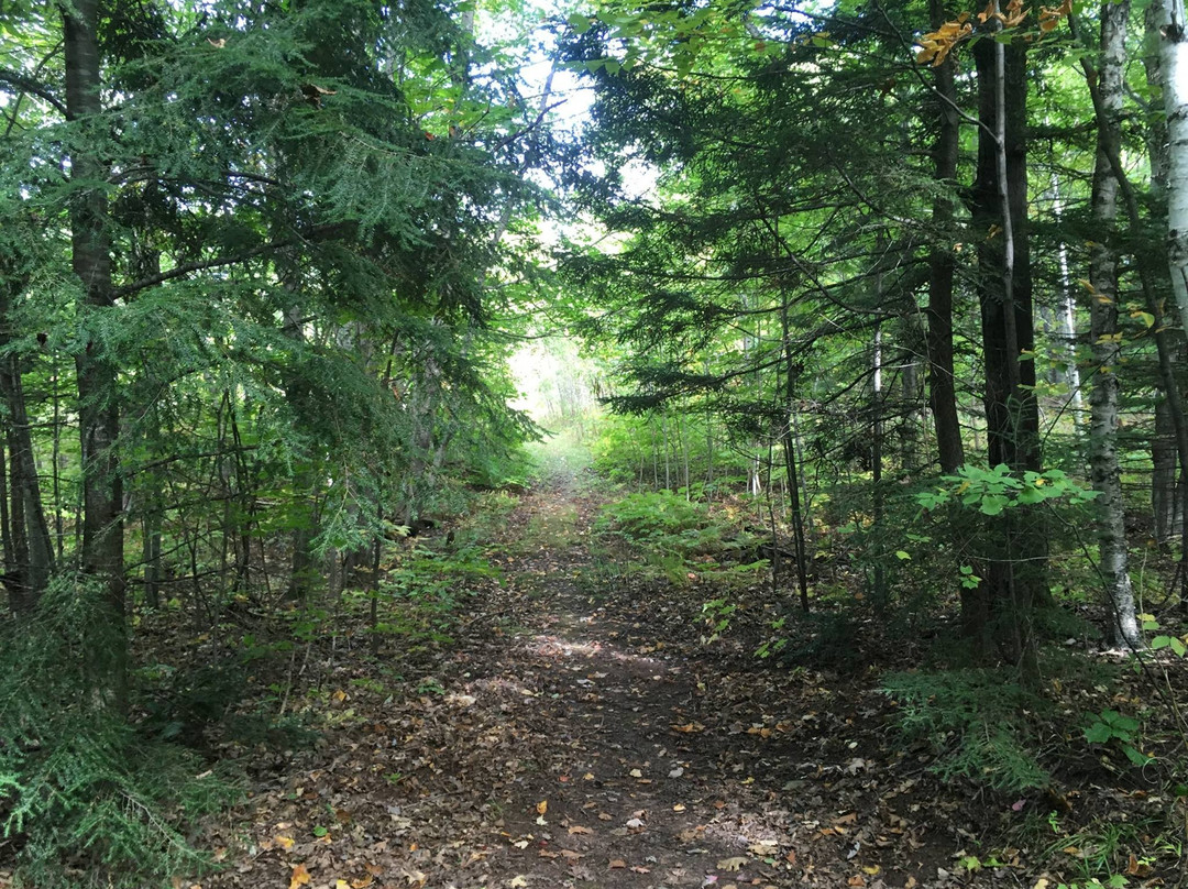 Big Ravine Trail景点图片