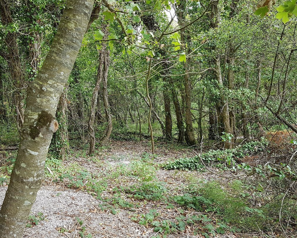 Lough Derg景点图片