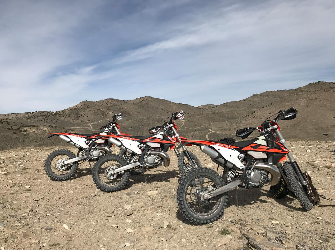 Tracked Out Adventures-帕克城必去景点