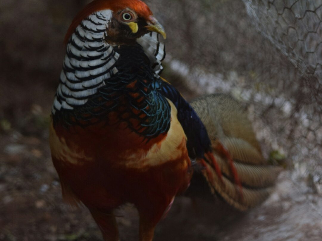 Gadag Zoo-Gadag必去景点