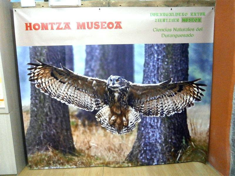 Museo Hontza景点图片