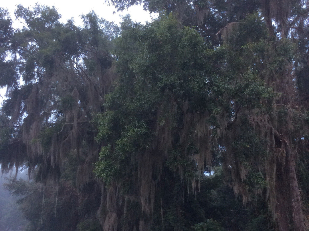 Lake Park Campground