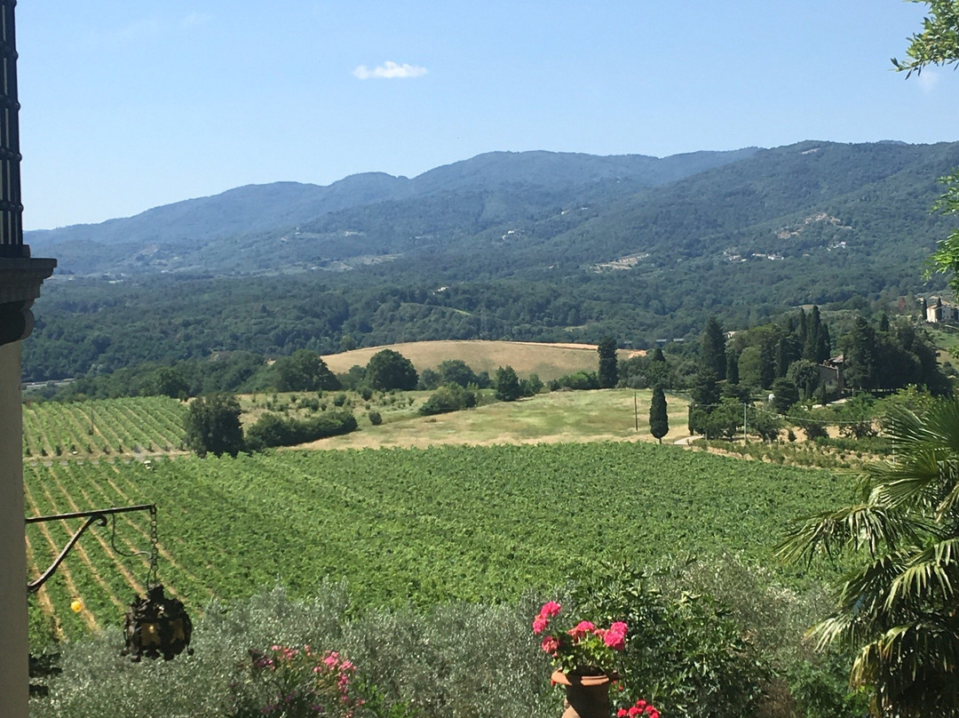 Il Frassine Farm & Farmhouse Tuscany-阿尔诺河畔里尼亚诺必去景点