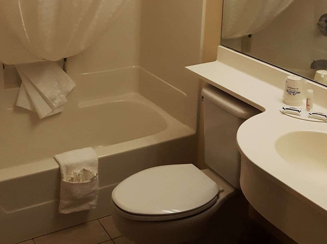 Microtel Inn & Suites by Wyndham Bellevue/Omaha主图