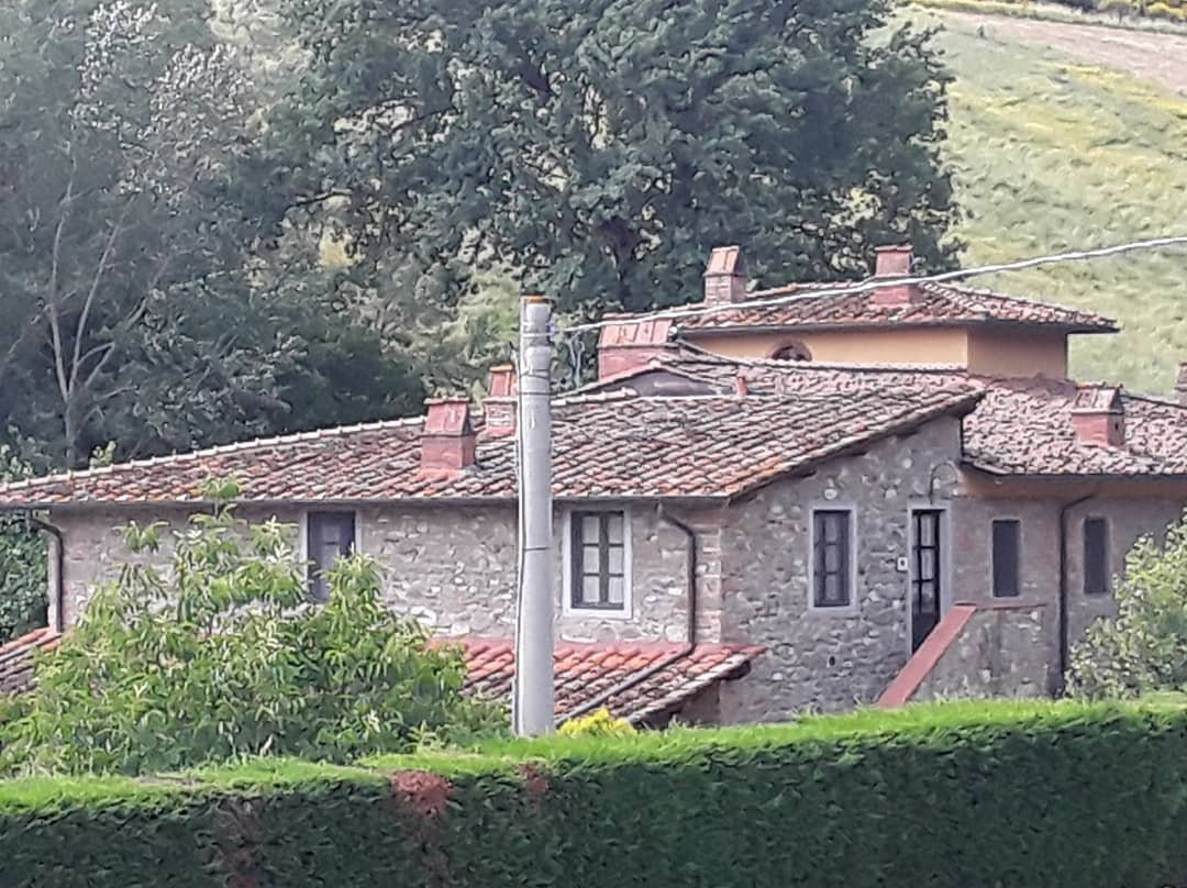 Agriturismo Le Buche di Viesca主图