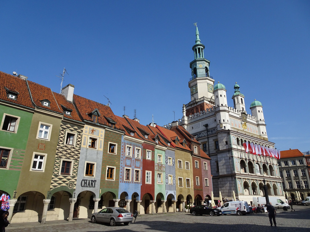 Greater Poland Province旅游攻略图片
