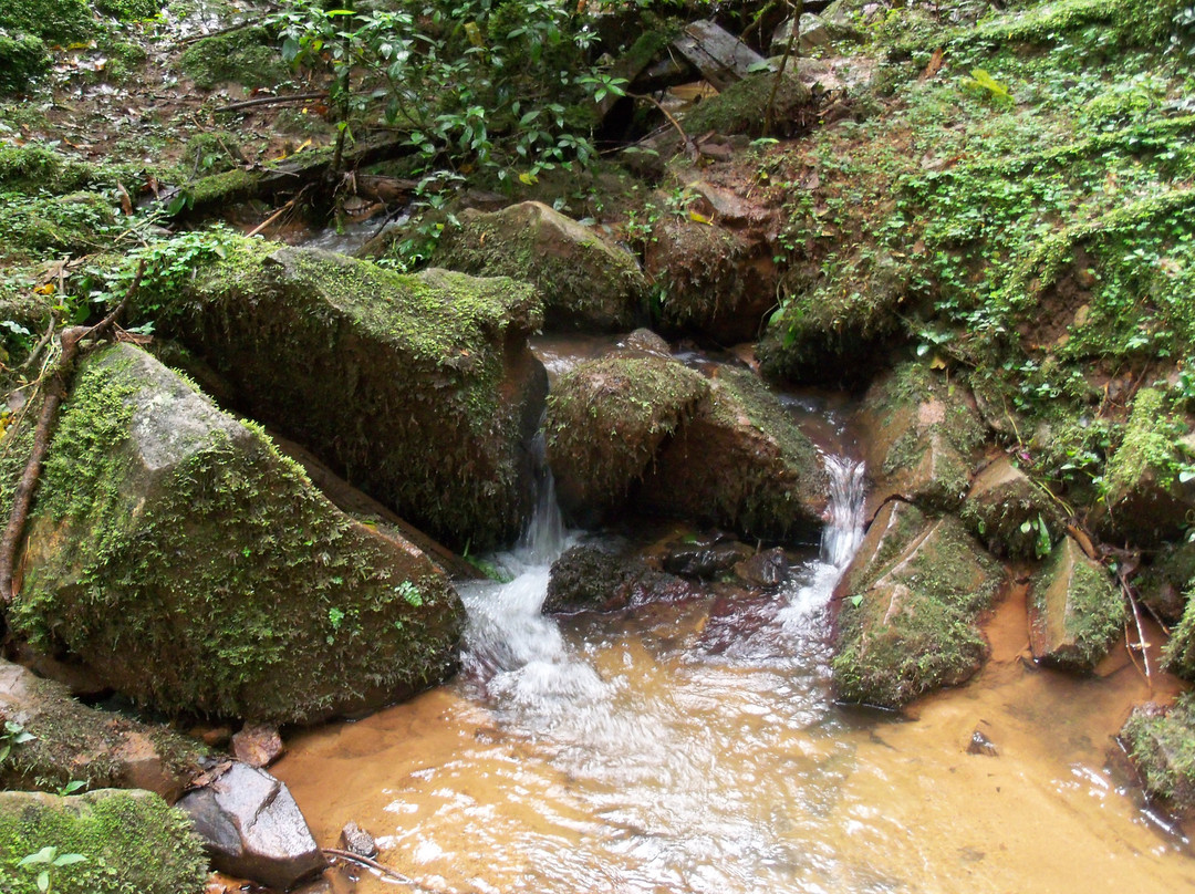 Rondo Retreat Centre主图