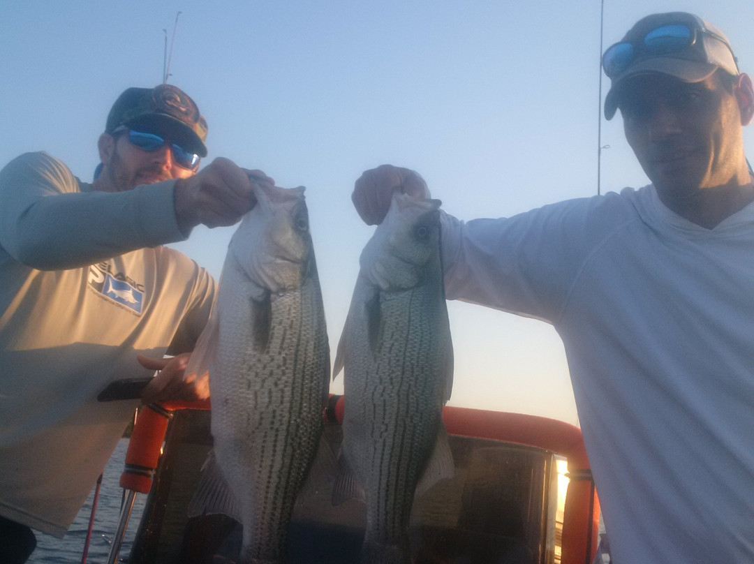 Tommy Cauley: Fishing Guide Service Greers Ferry Lake景点图片