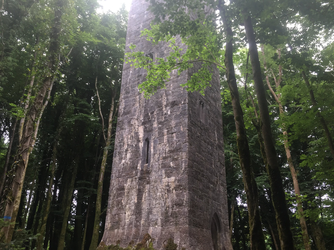 The Guinness Tower/Leonard's Tower景点图片