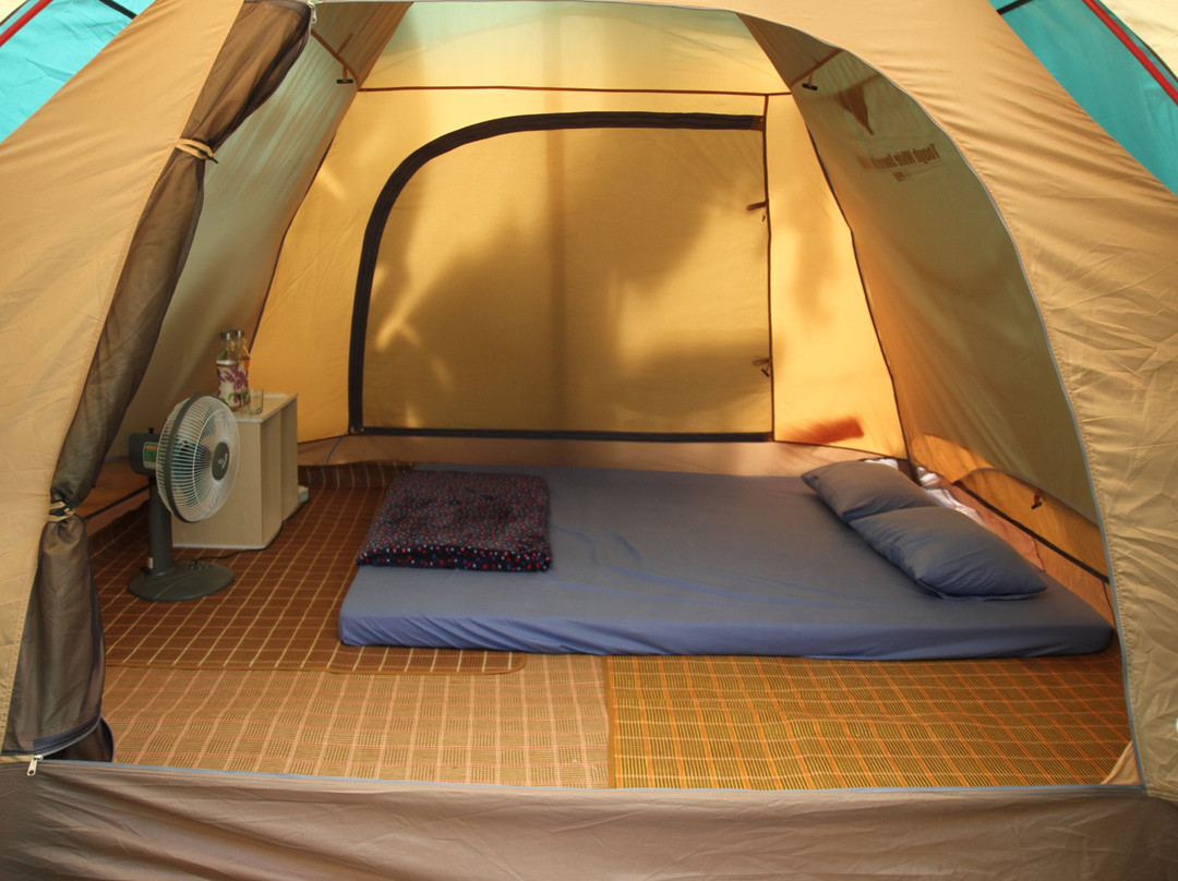 Ve Nha Homestay-Thanh Trieu必去景点