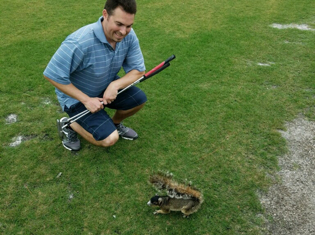 Dunedin Golf & Country Club-达尼丁必去景点