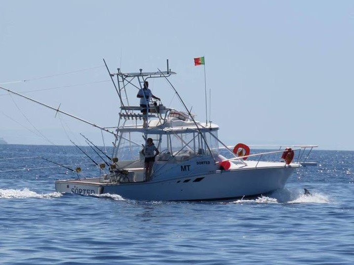Madeira Marlin Charters-卡列塔必去景点