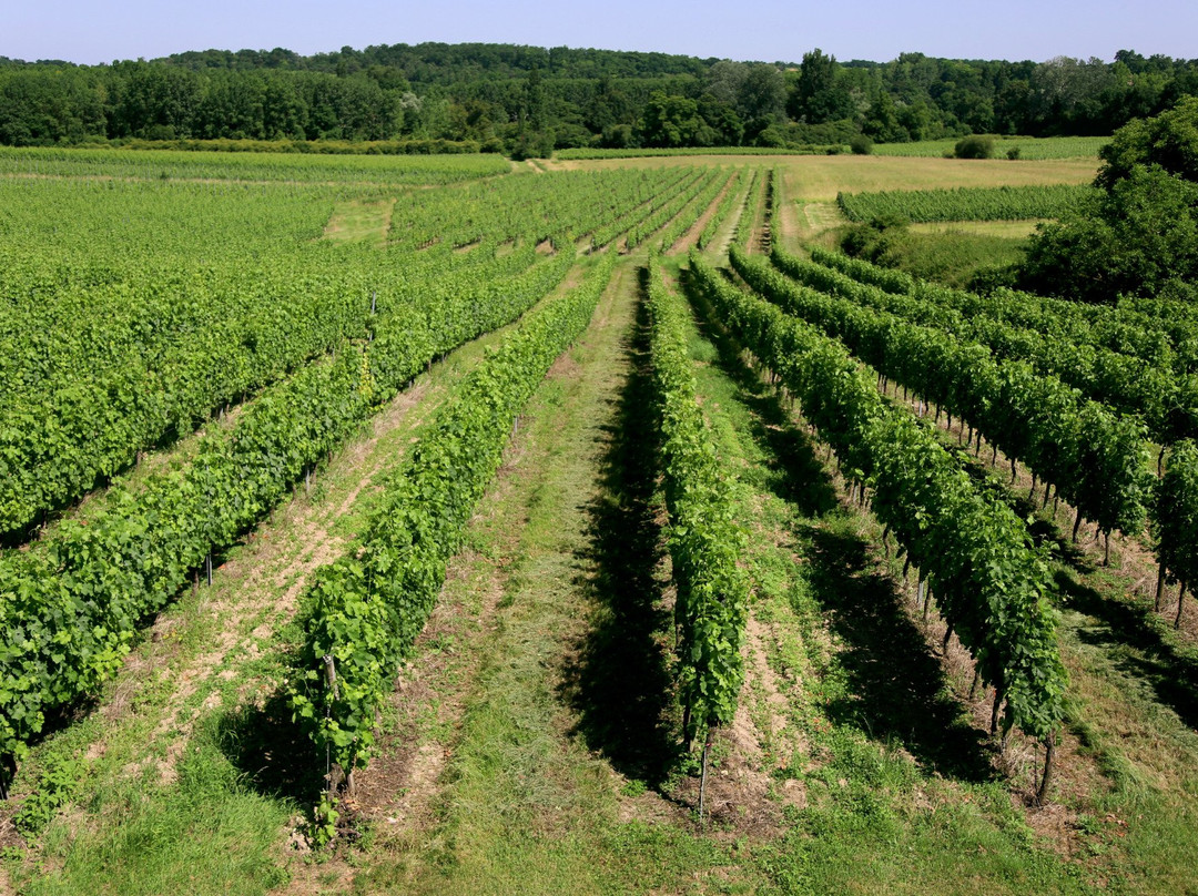 Château le Noble景点图片