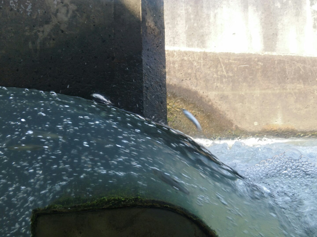 Toneozeki-行田市必去景点