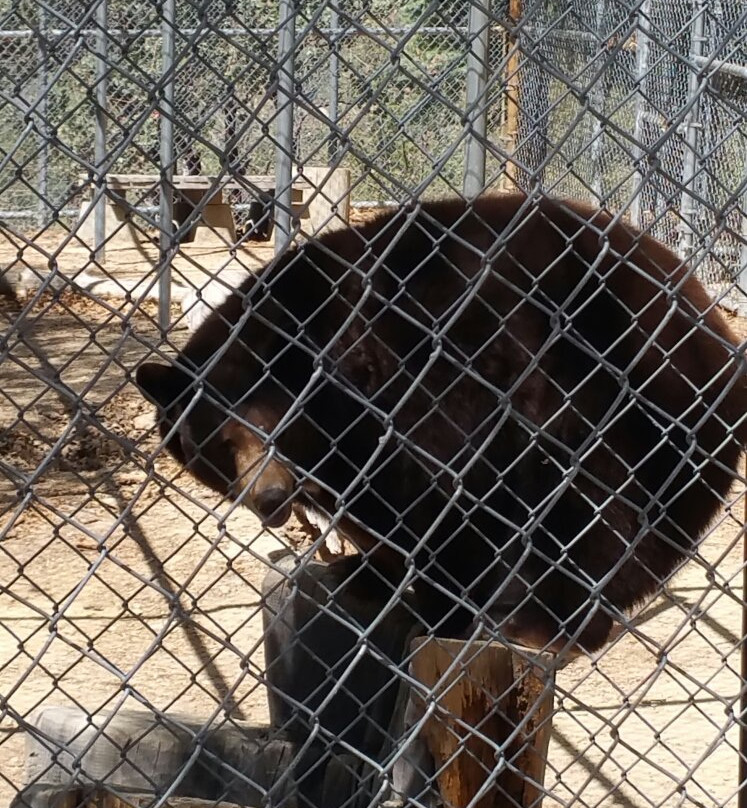 Wildhaven Ranch-箭头湖必去景点