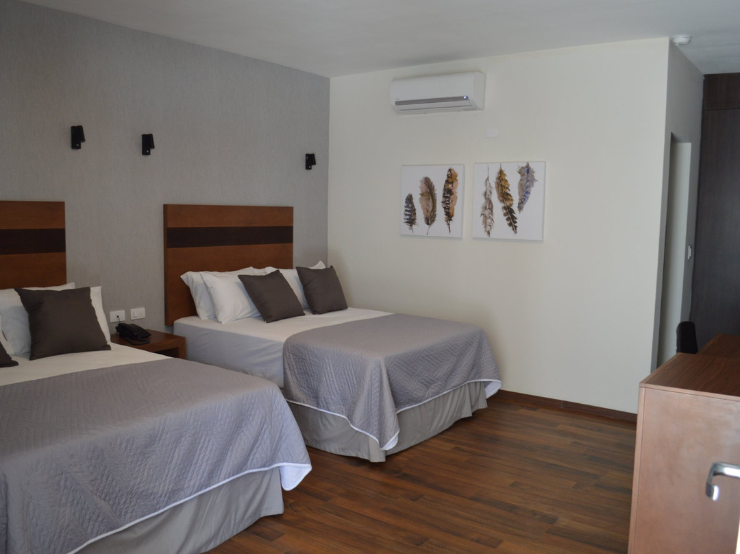 Hotel Plaza Catedral主图