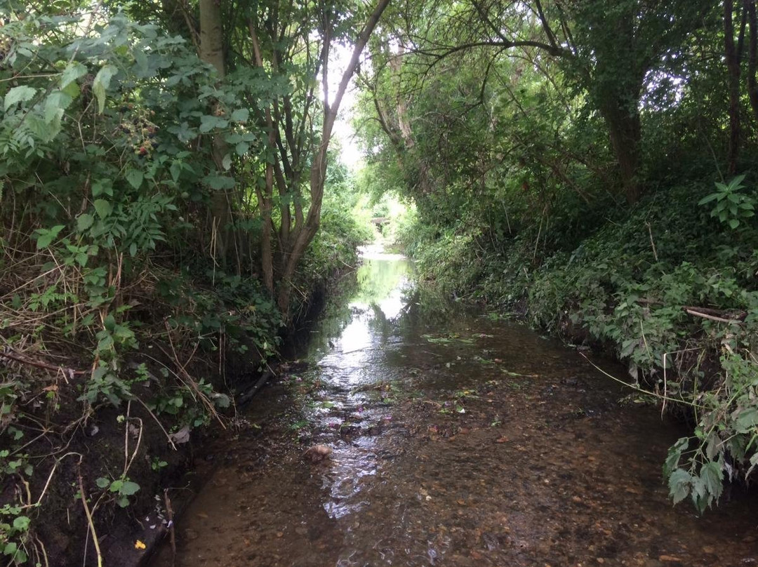 Berrylands Nature Reserve景点图片