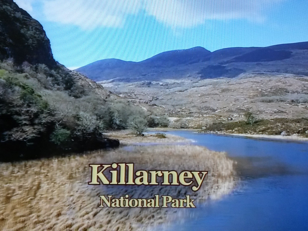 Killarney Private Tours-基拉尼必去景点