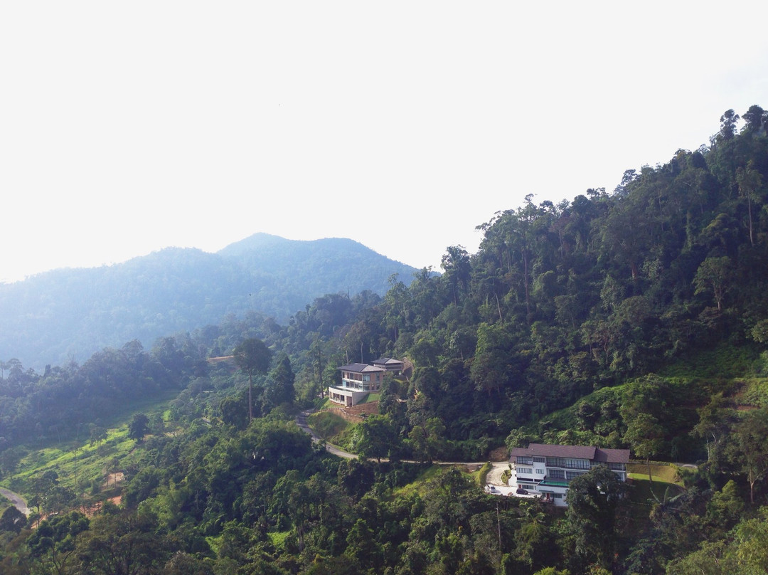 PeppaVille Resort主图