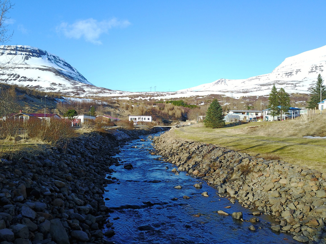 Reydarfjordur旅游攻略图片