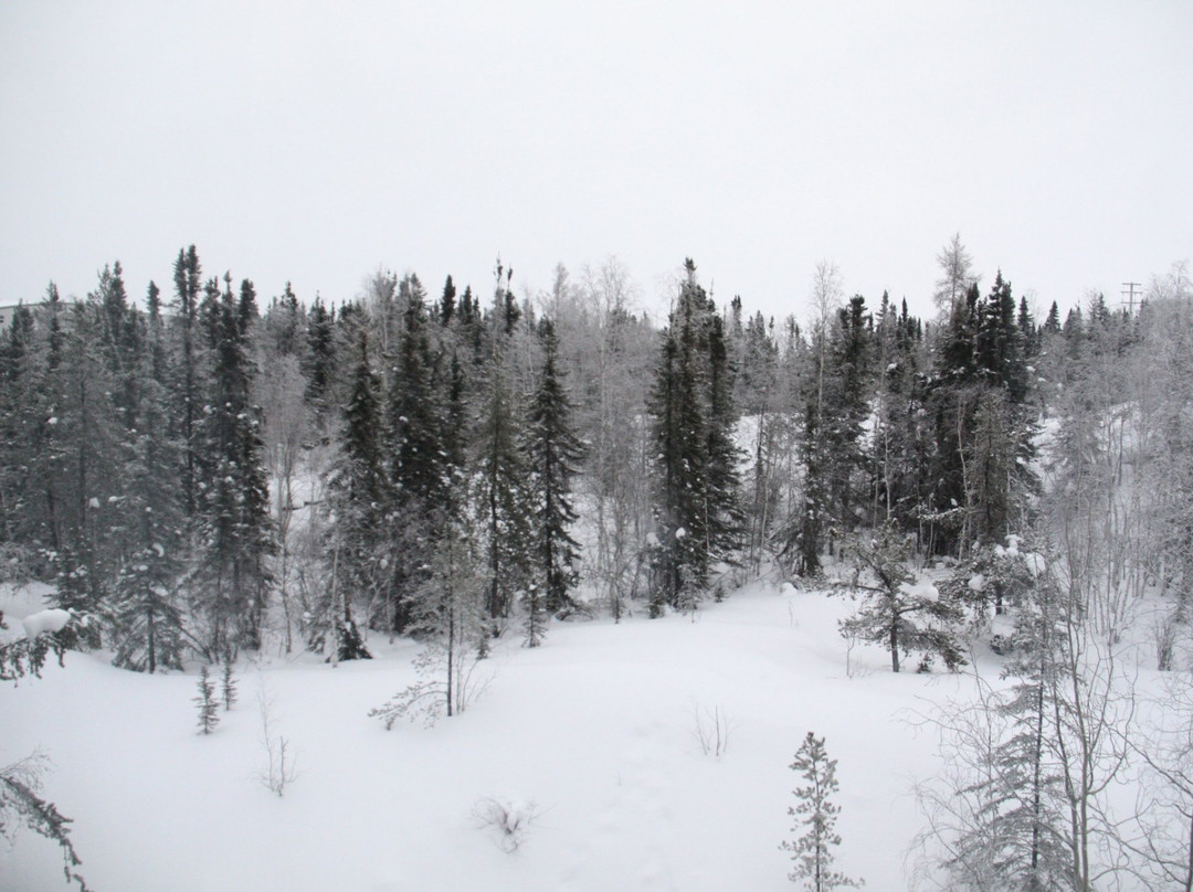 诺瓦耶洛奈夫城堡酒店主图