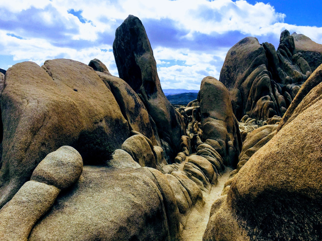 Arch Rock Nature Trail景点图片