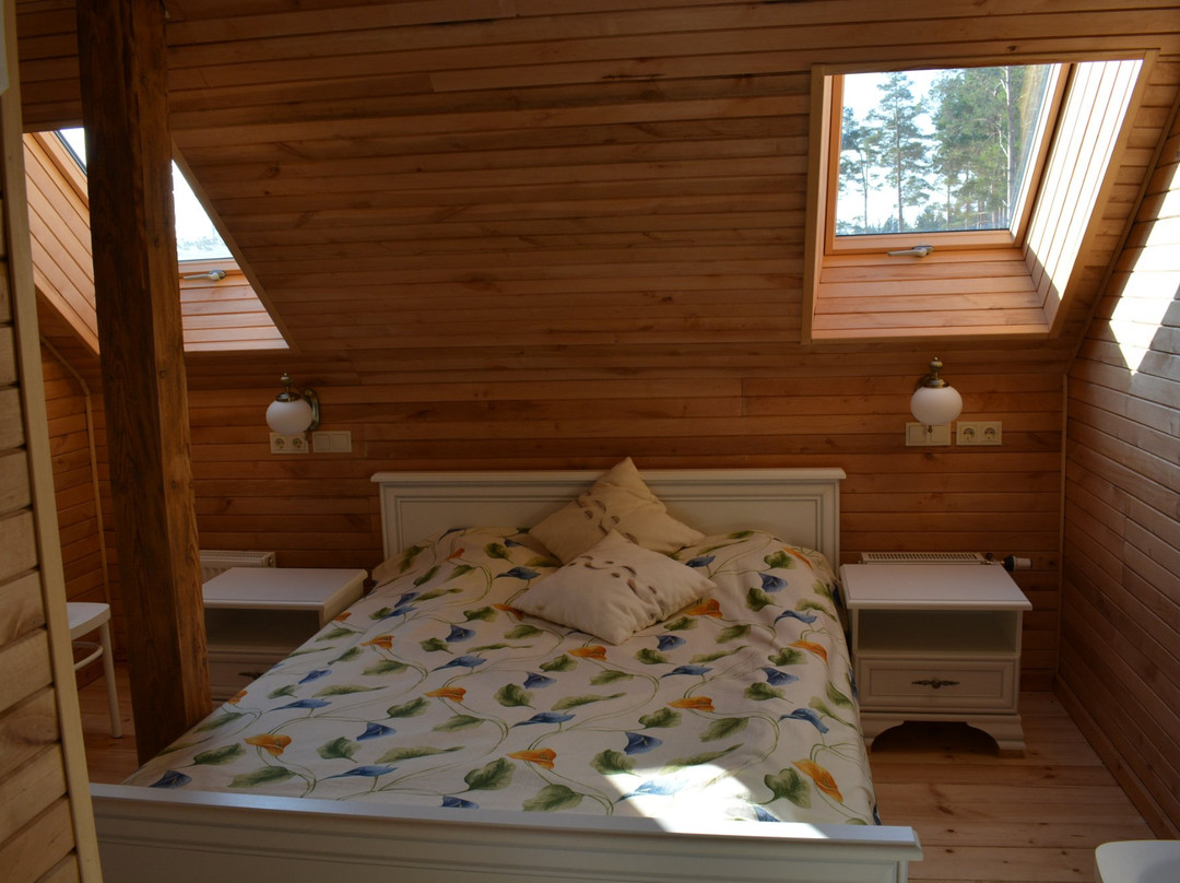 Guest House Ziedkalni主图