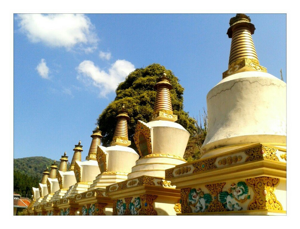 Darjeeling Treks and Tours景点图片