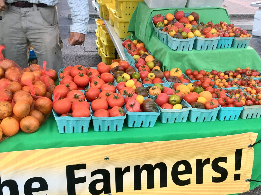Bonita Springs Farmers Market-博尼塔斯普林斯必去景点