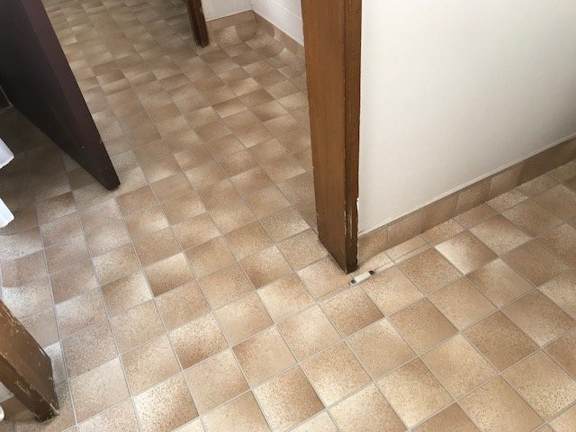 Highwayman Motel主图