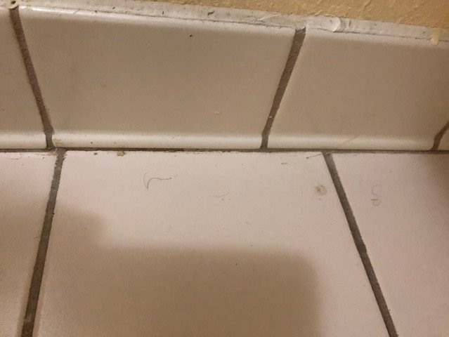 Days Inn By Wyndham Coliseum Montgomery AL主图