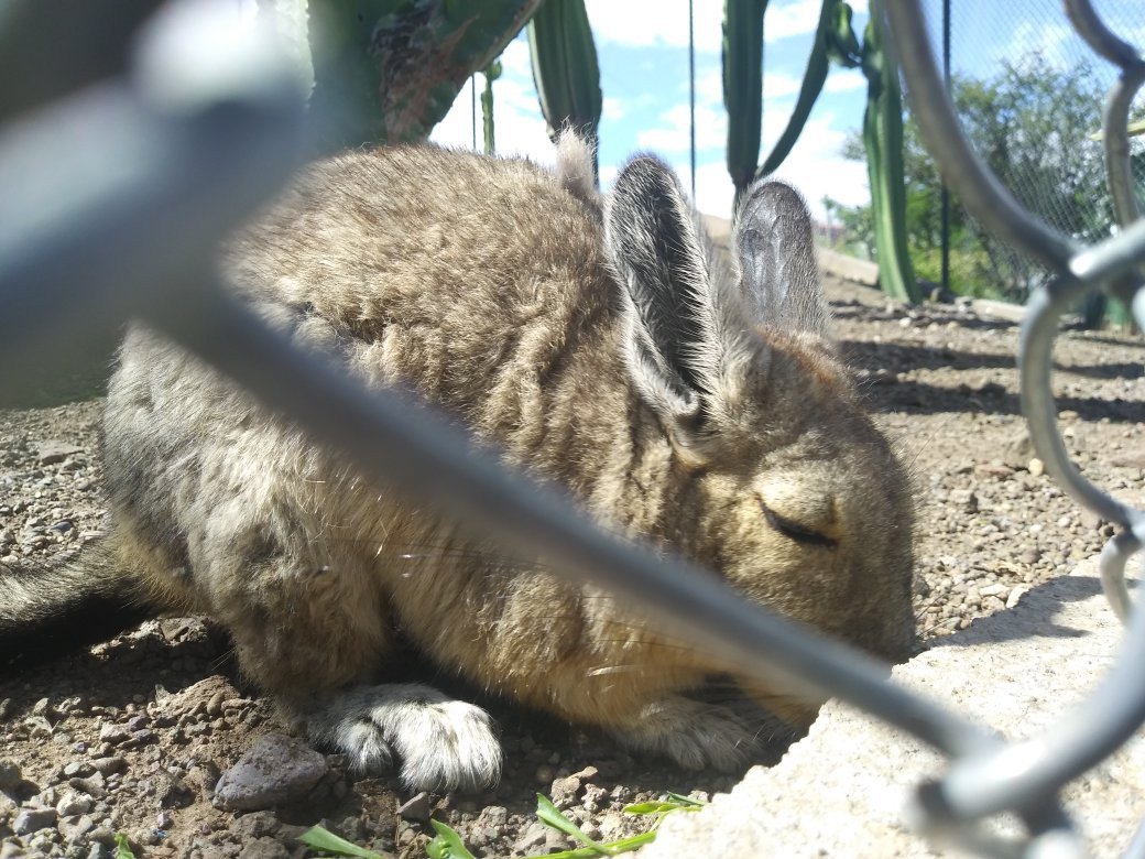 La Totorilla Centro Ecologico Recreacional-Ayacucho必去景点