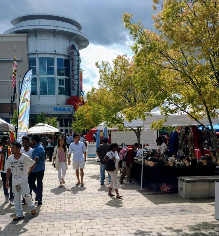 Downtown Silver Spring-银泉必去景点