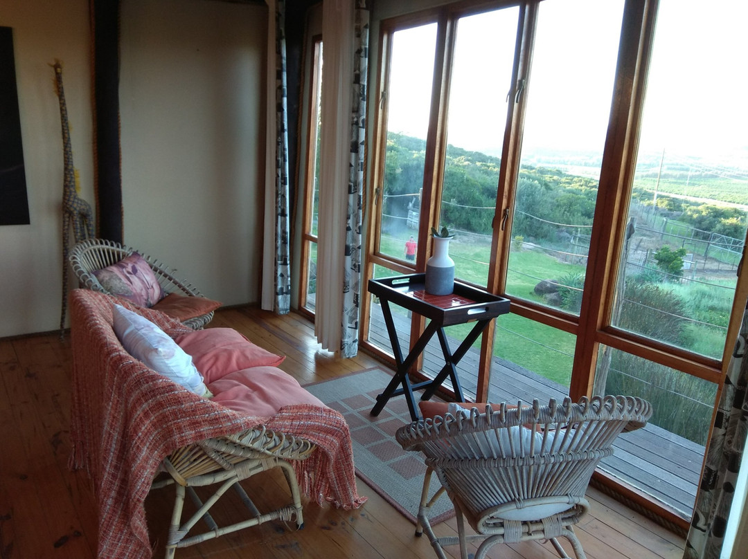 Addo Dung Beetle Guest Farm主图