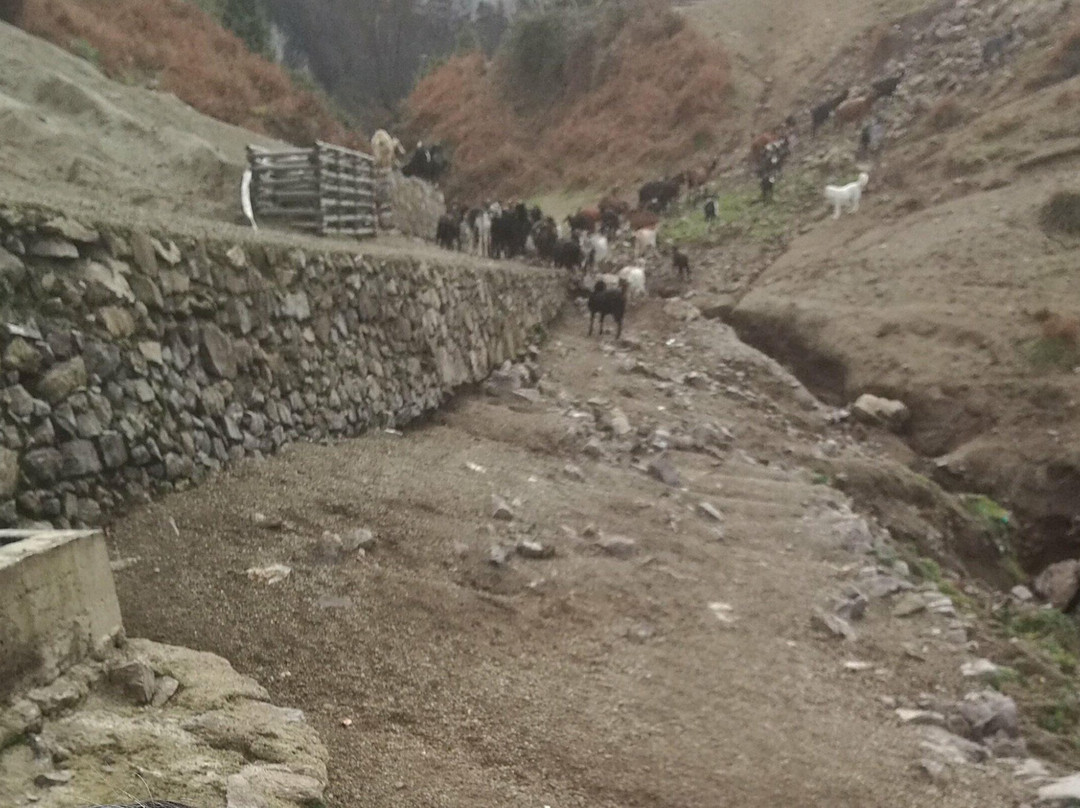 Orsano - Sorgente di Lettere - Vene del Pericolo-Lettere必去景点