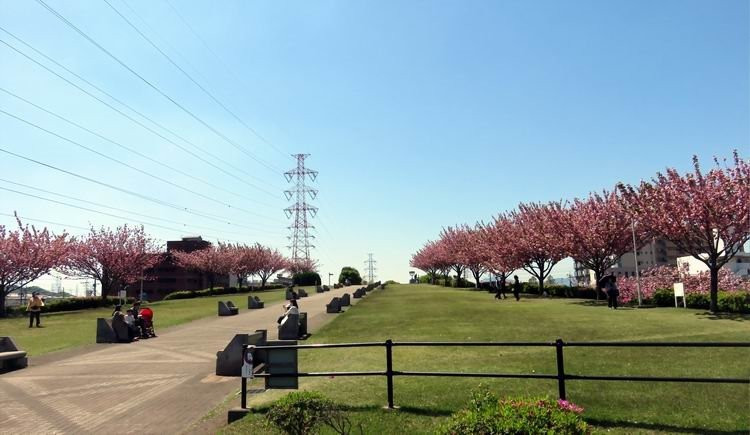Peace Citizen Park-大分市必去景点