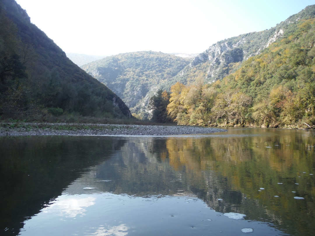 Aesthetic Forest of Strait of Nestos River景点图片